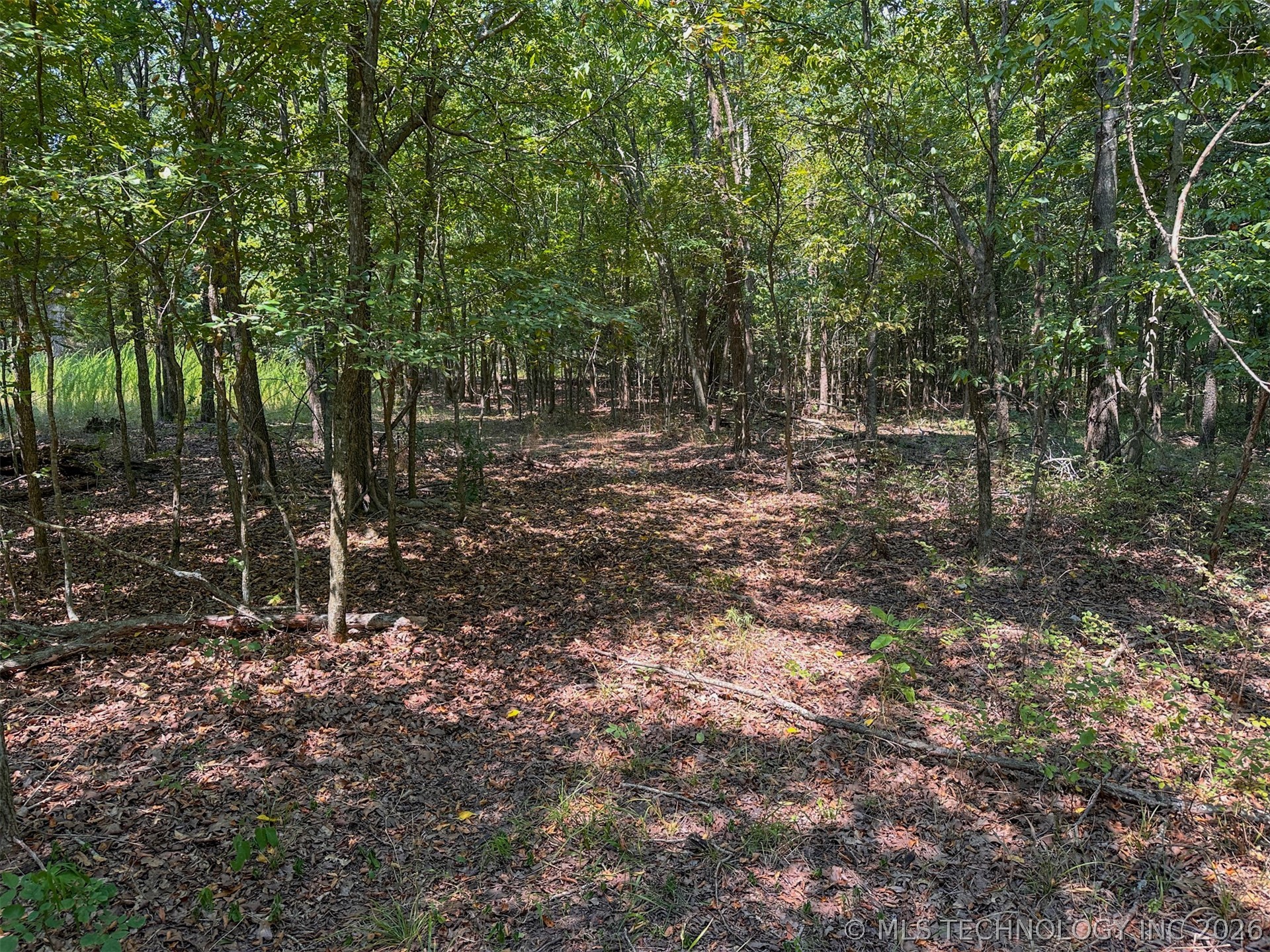 180 E Wyandotte Road Wyandotte OK 74370