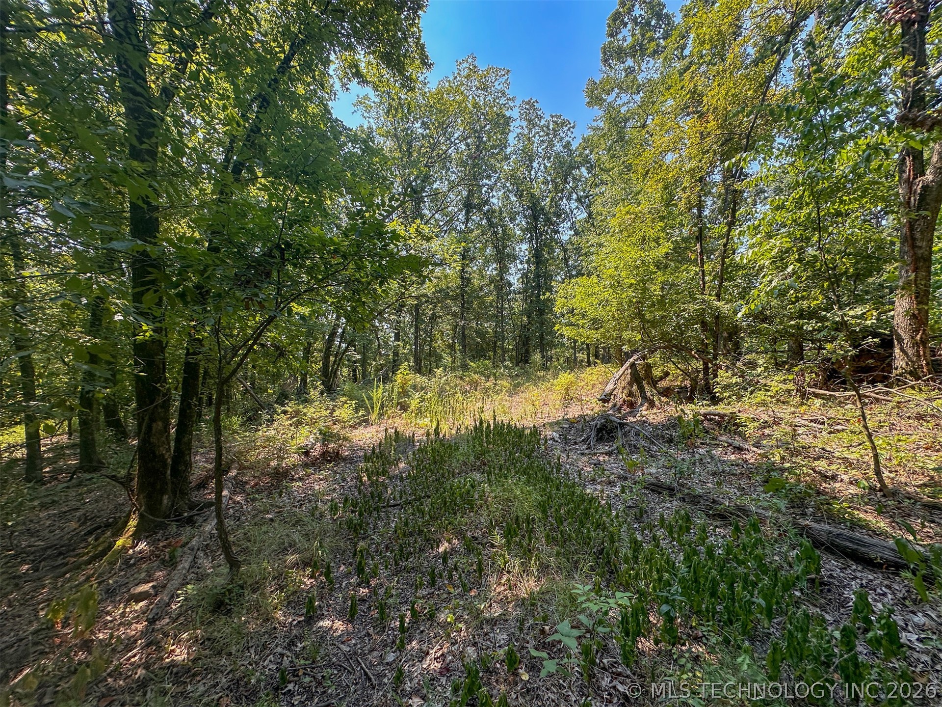 180 E Wyandotte Road Wyandotte OK 74370