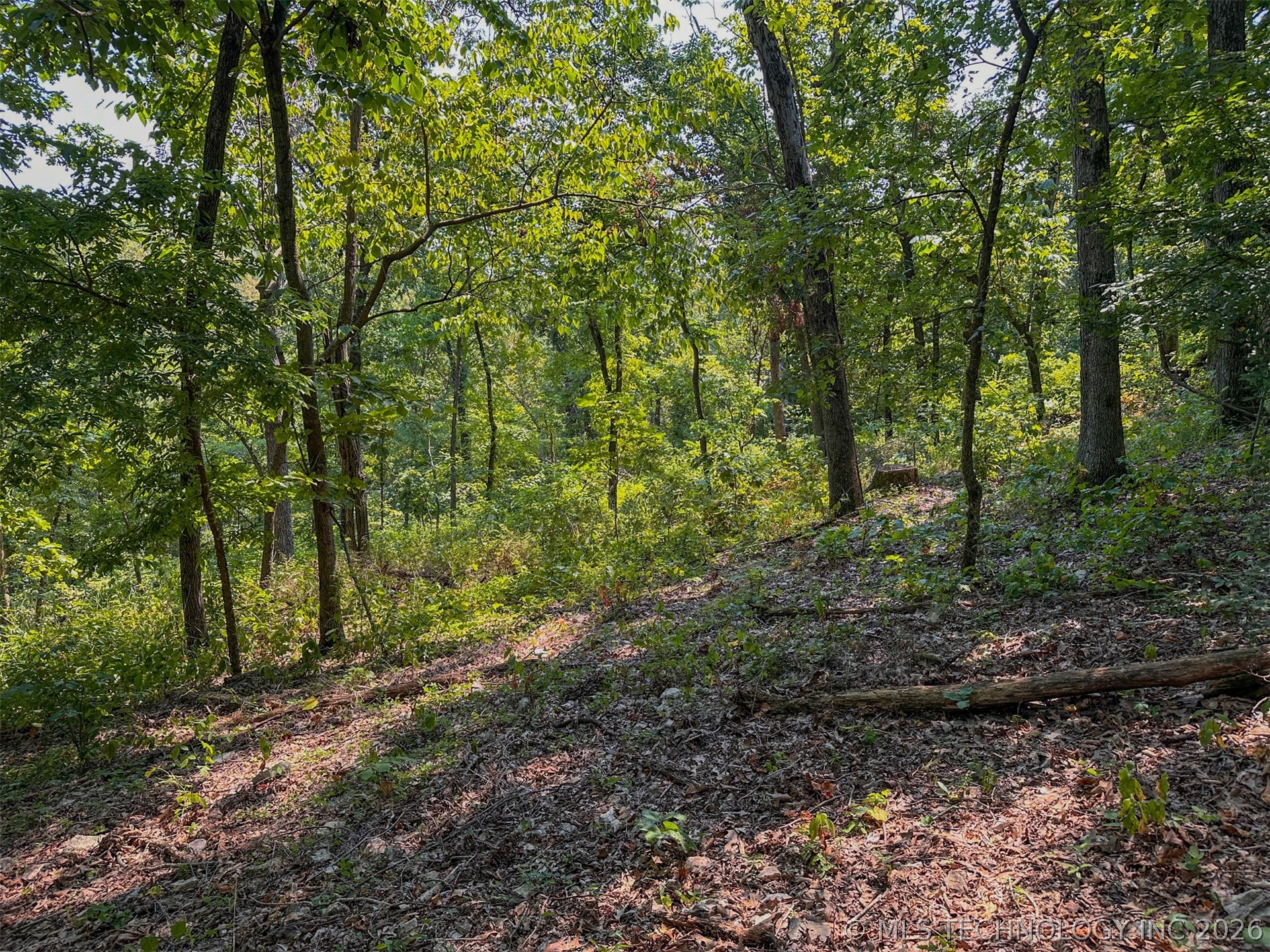 180 E Wyandotte Road Wyandotte OK 74370