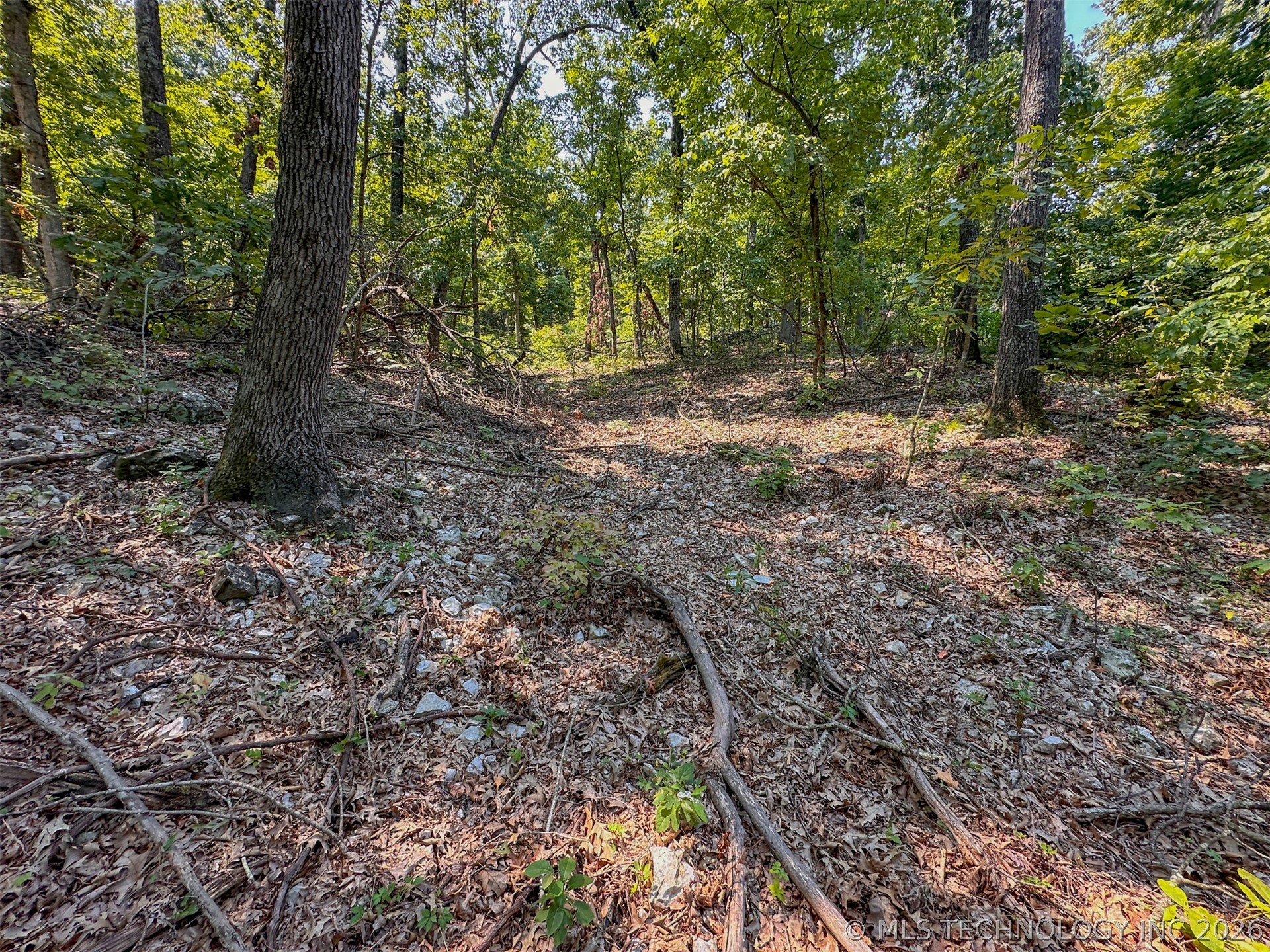 180 E Wyandotte Road Wyandotte OK 74370