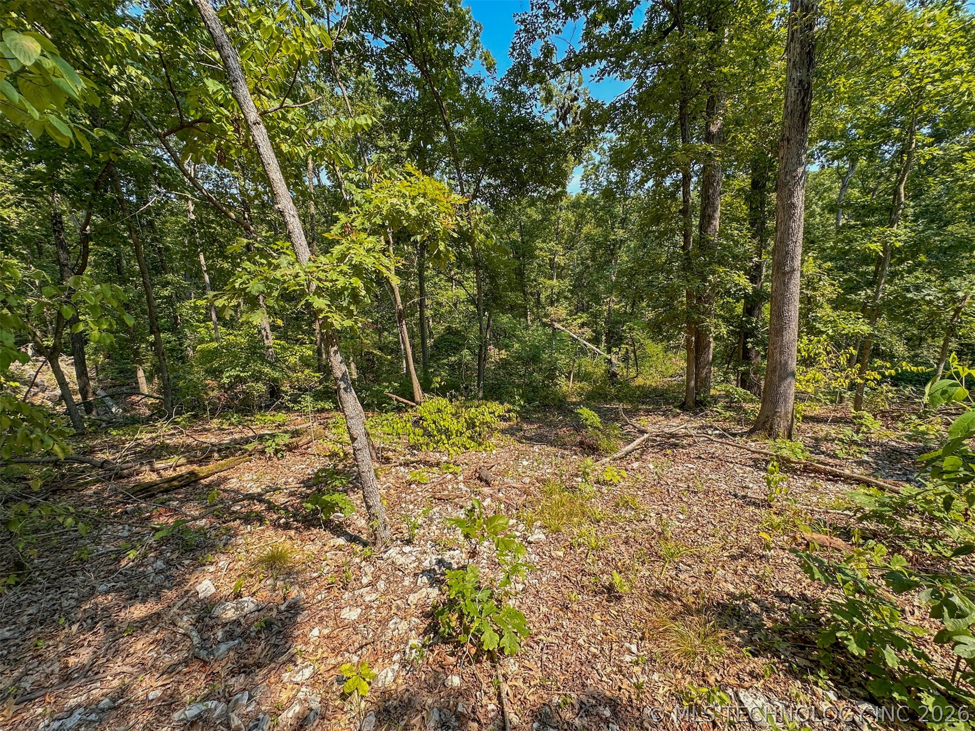 180 E Wyandotte Road Wyandotte OK 74370