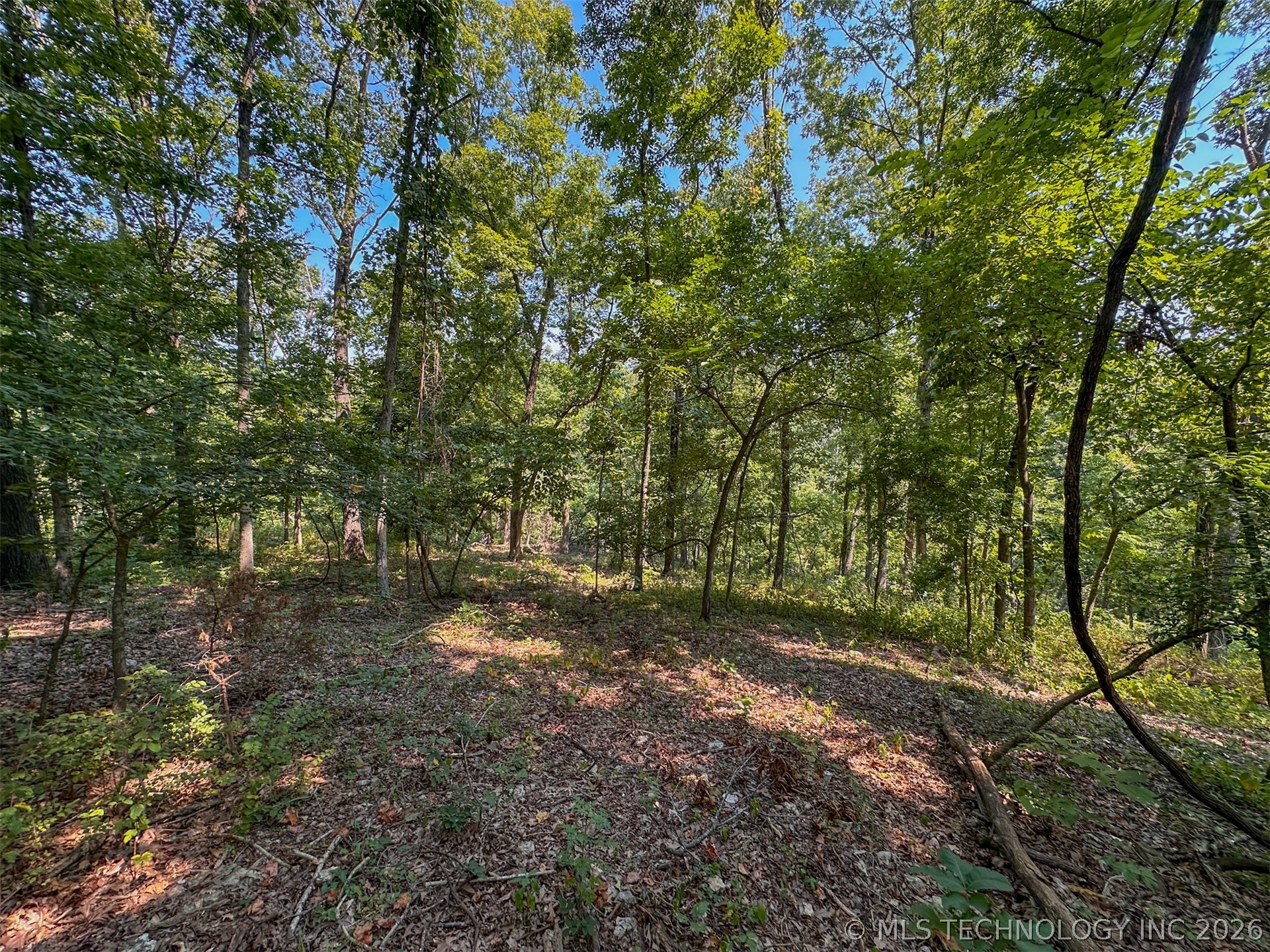180 E Wyandotte Road Wyandotte OK 74370