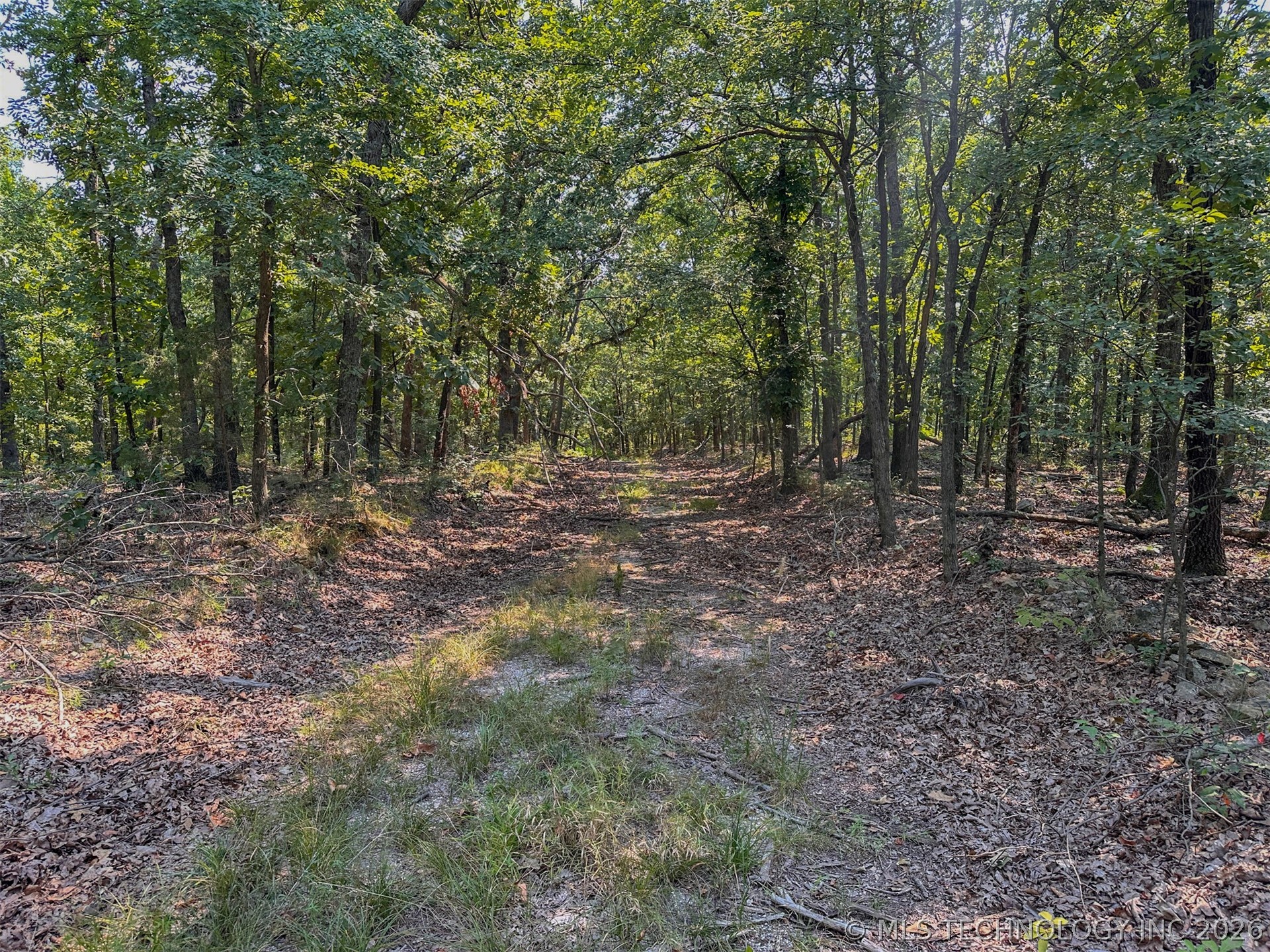 180 E Wyandotte Road Wyandotte OK 74370