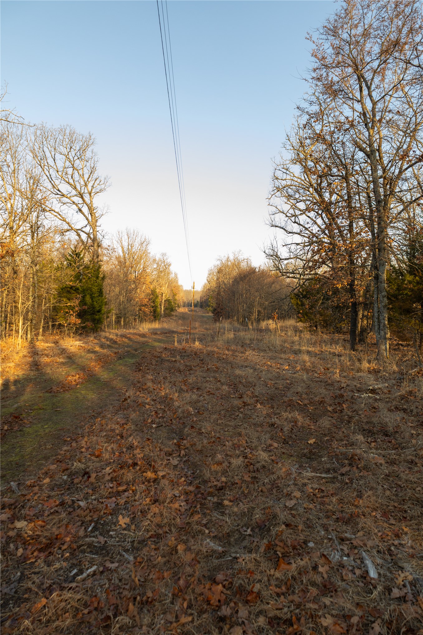 180 E Wyandotte Road Wyandotte OK 74370