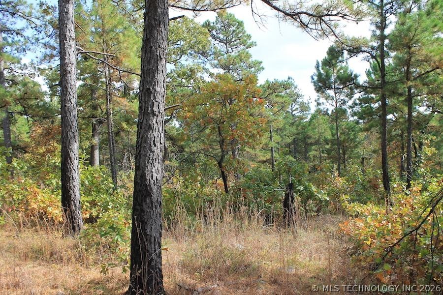 Wagonwheel Road Stringtown OK 74525