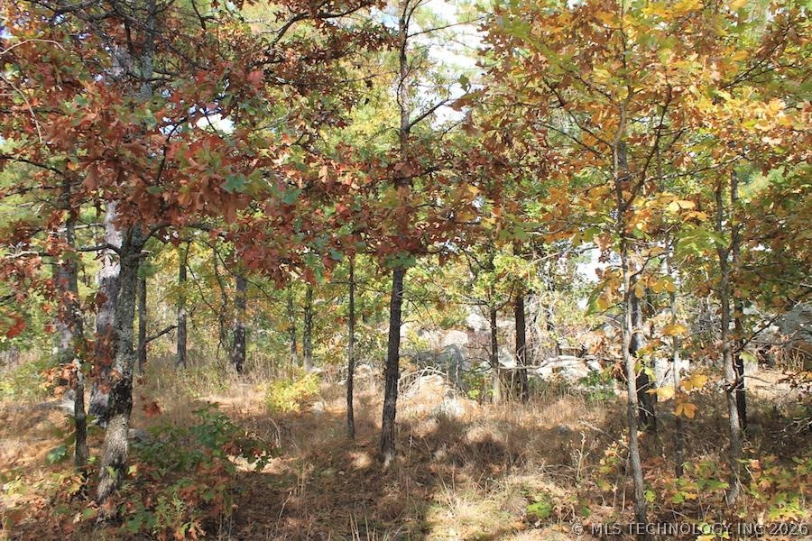 Wagonwheel Road Stringtown OK 74525