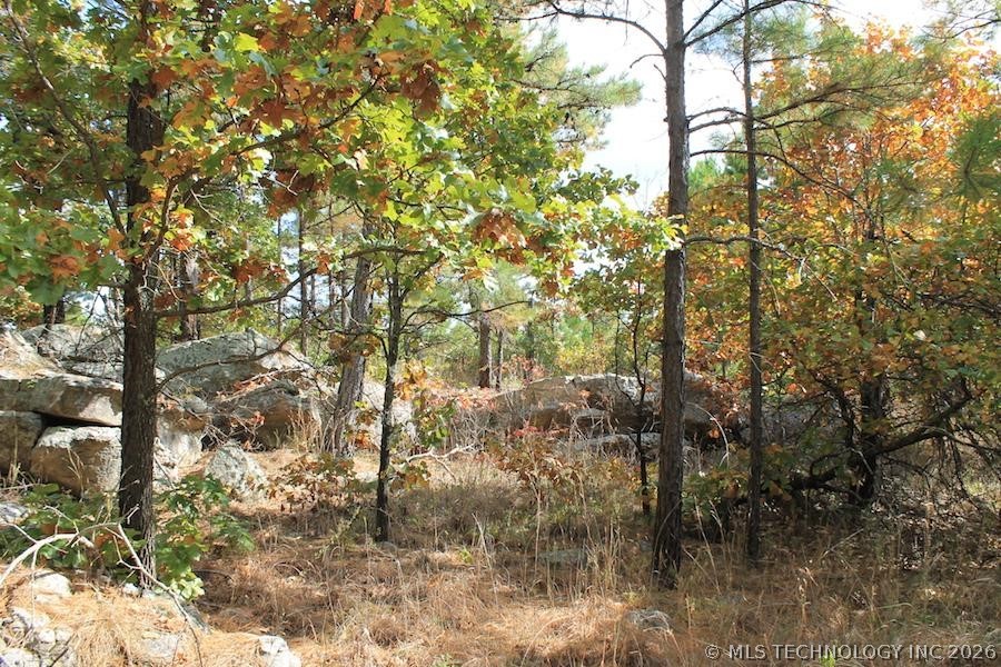 Wagonwheel Road Stringtown OK 74525