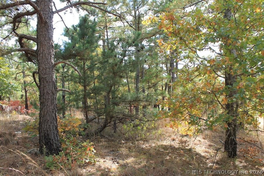 Wagonwheel Road Stringtown OK 74525