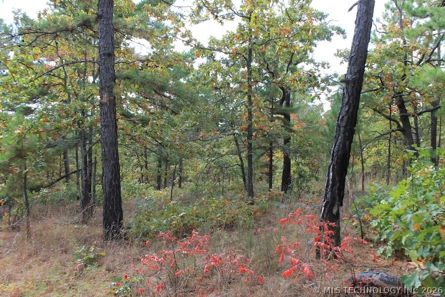 Wagonwheel Road Stringtown OK 74525