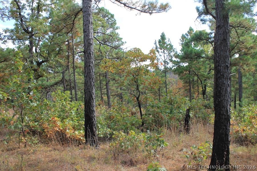 Wagonwheel Road Stringtown OK 74525