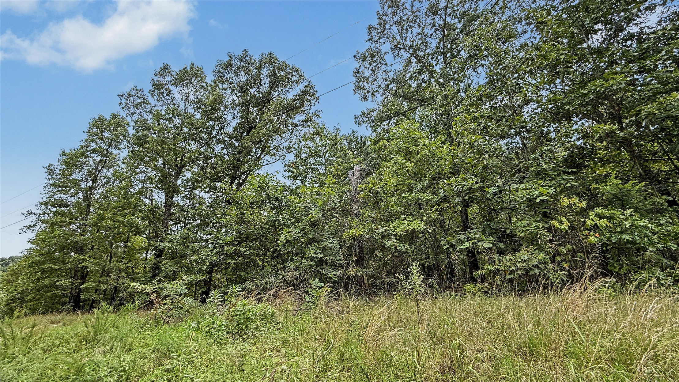 28280 Lame Deer Ridge Road Proctor OK 74457
