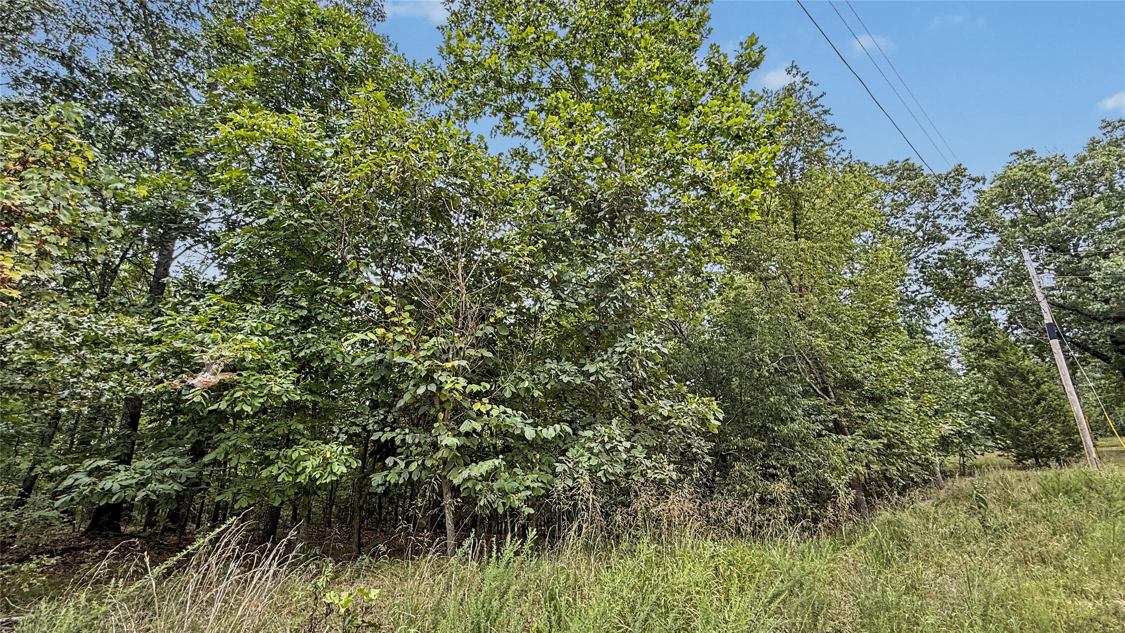 28280 Lame Deer Ridge Road Proctor OK 74457
