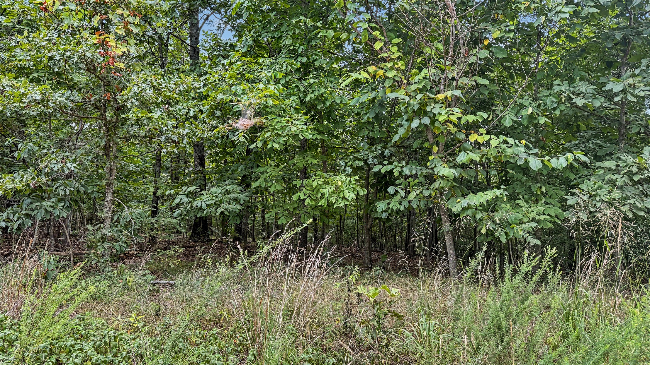 28280 Lame Deer Ridge Road Proctor OK 74457