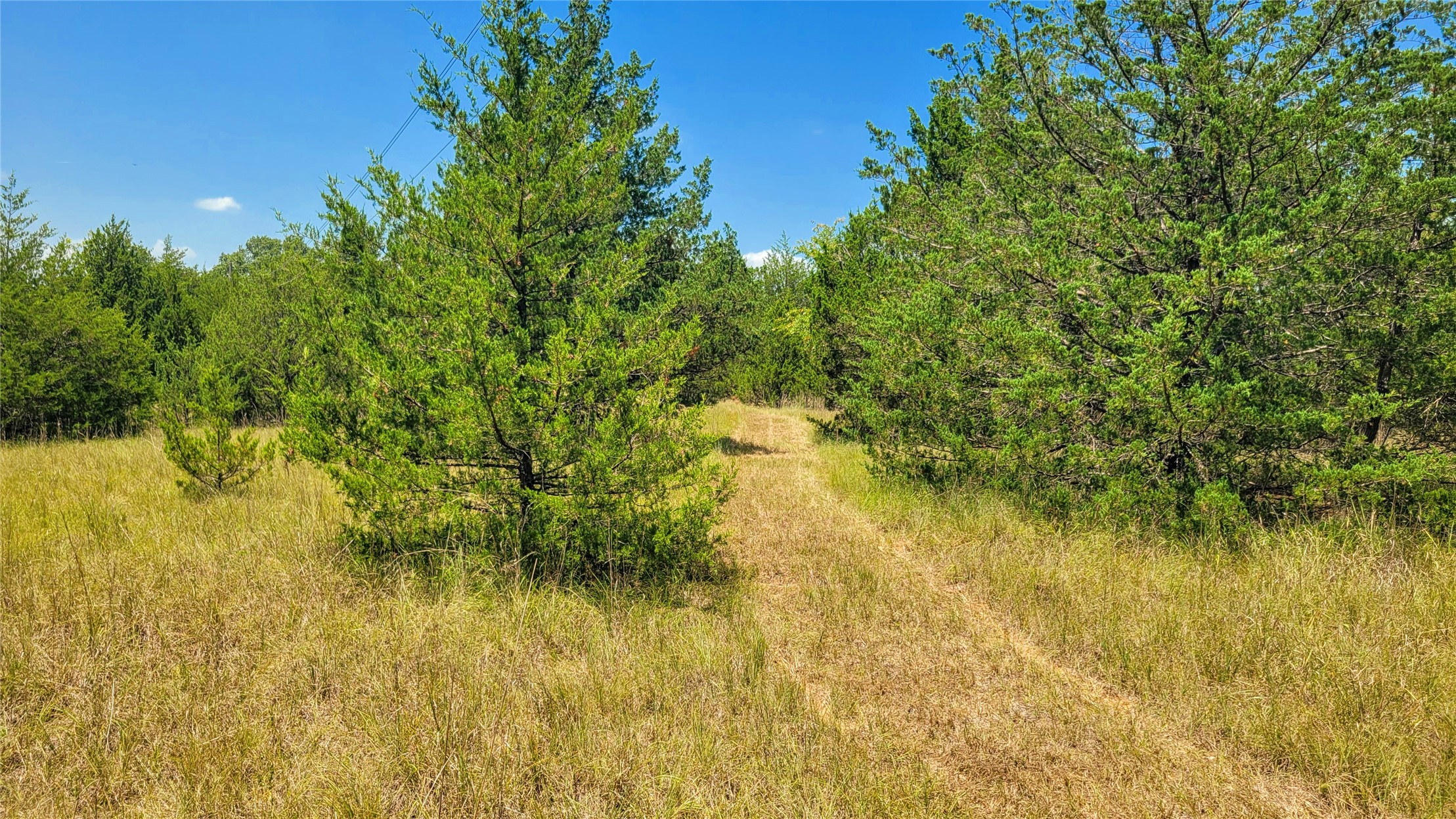County Road 1475 Francis OK 74844