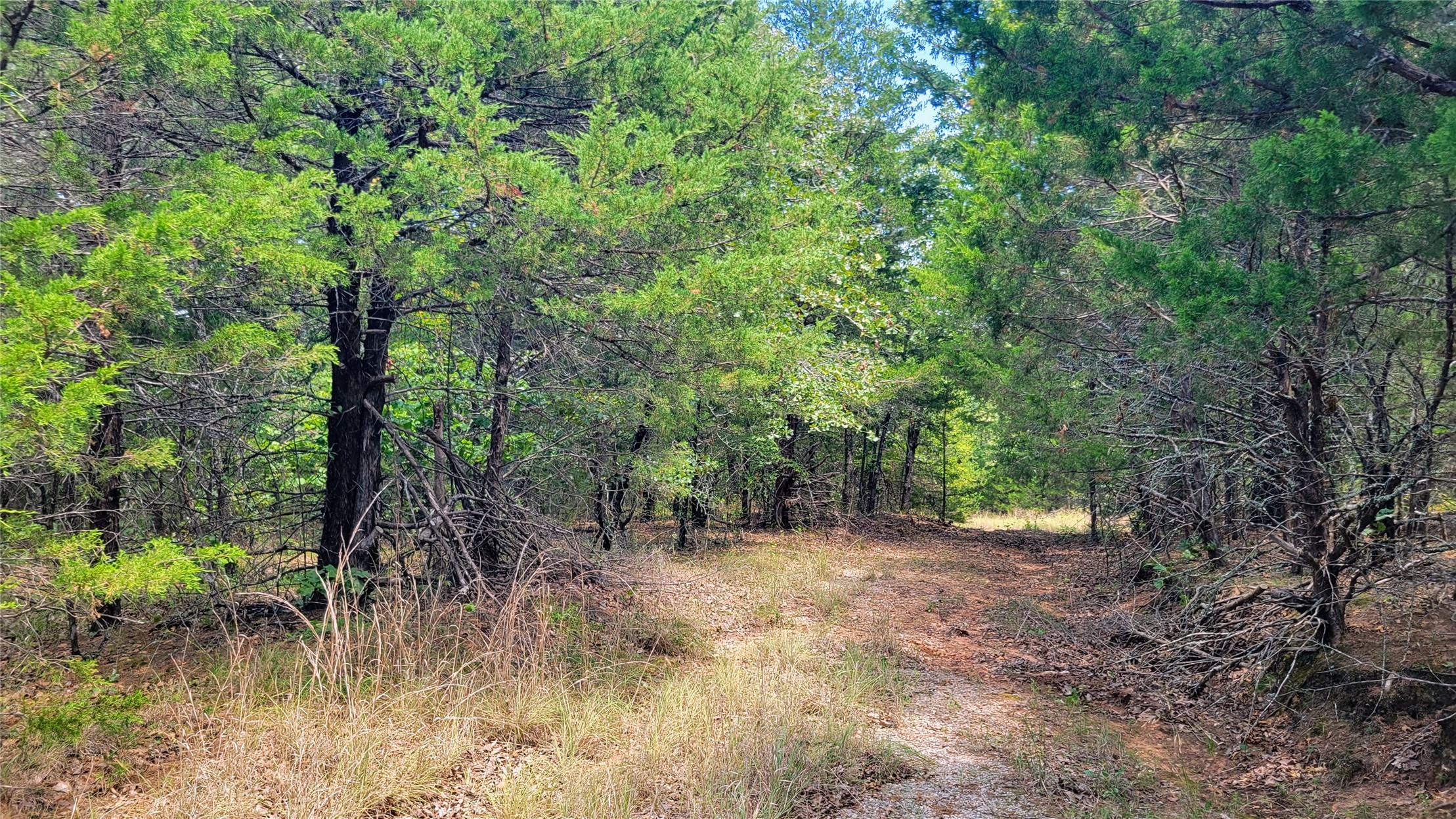 County Road 1475 Francis OK 74844
