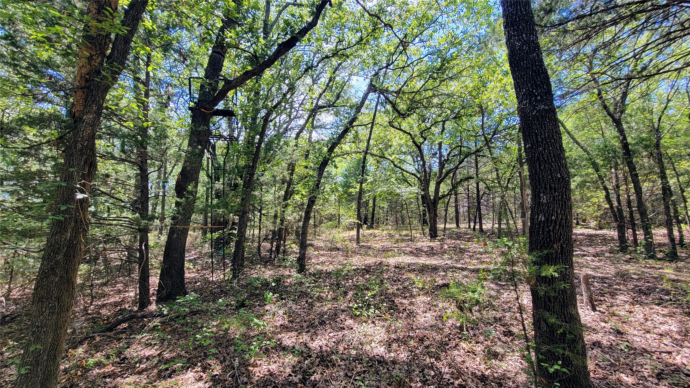 County Road 1475 Francis OK 74844