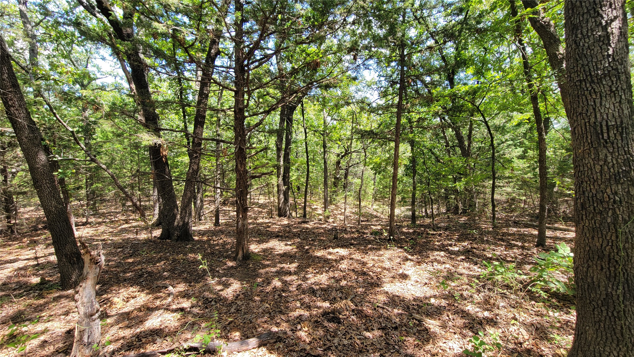 County Road 1475 Francis OK 74844