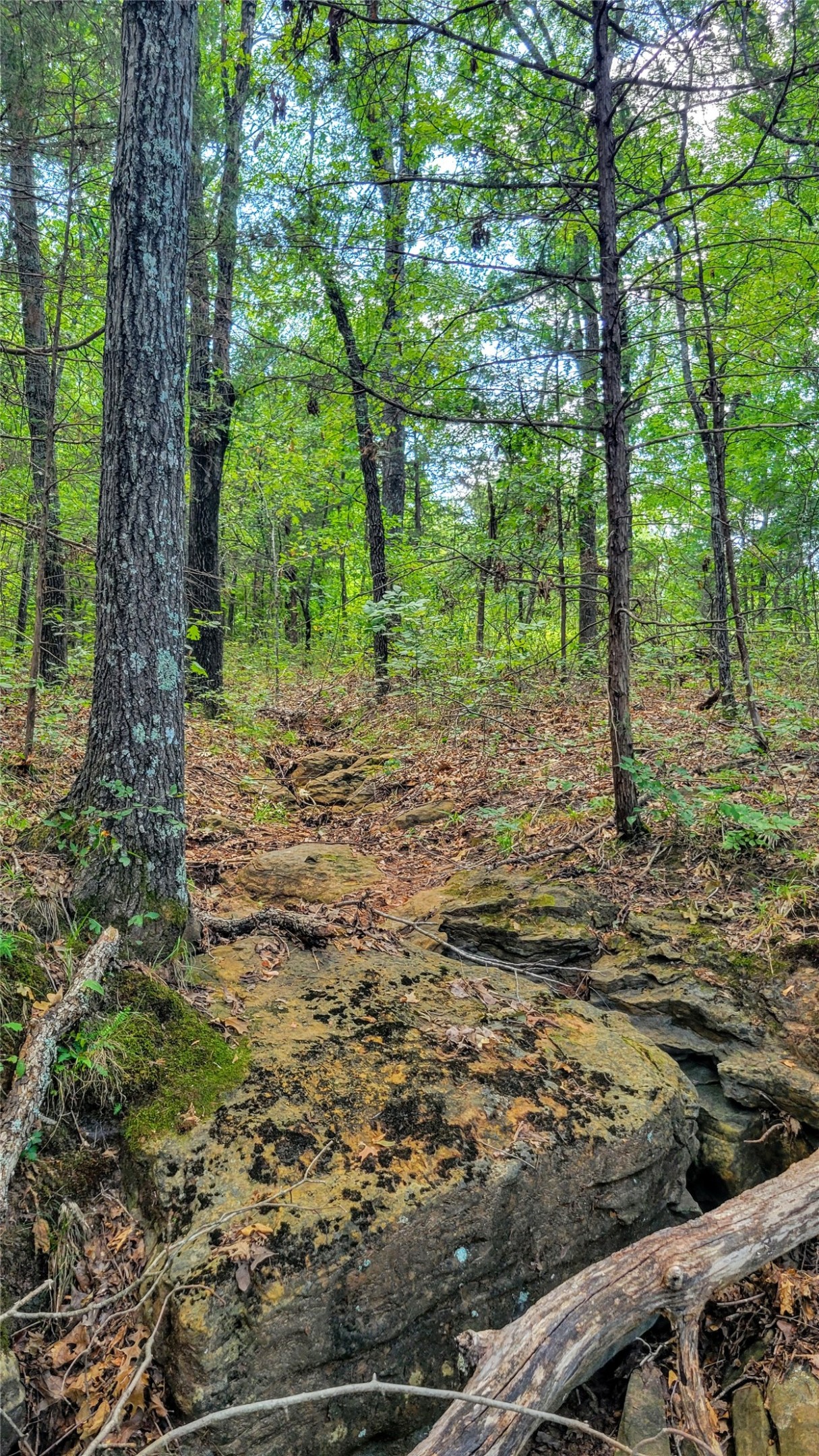 County Road 1475 Francis OK 74844