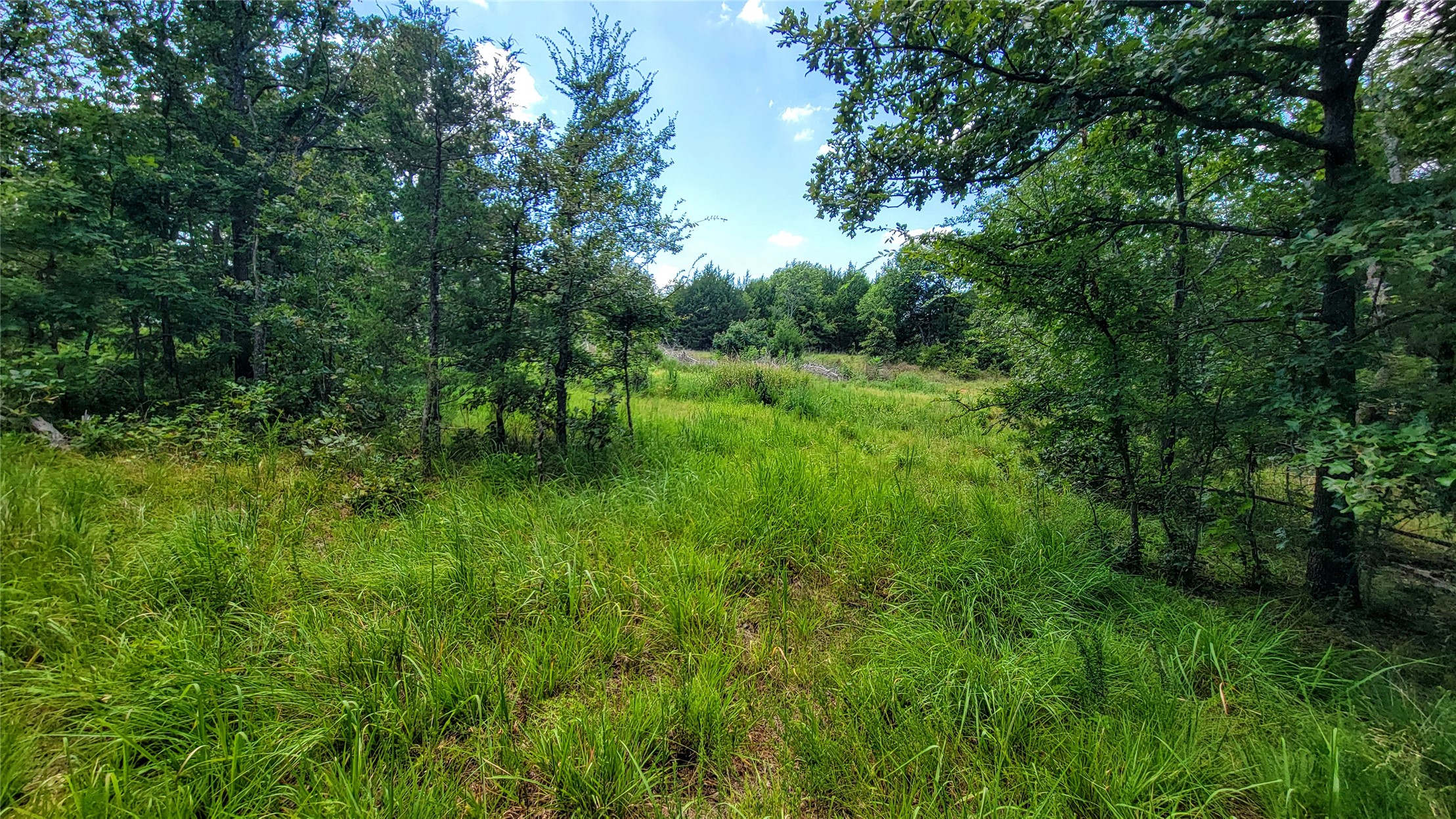 County Road 1475 Francis OK 74844