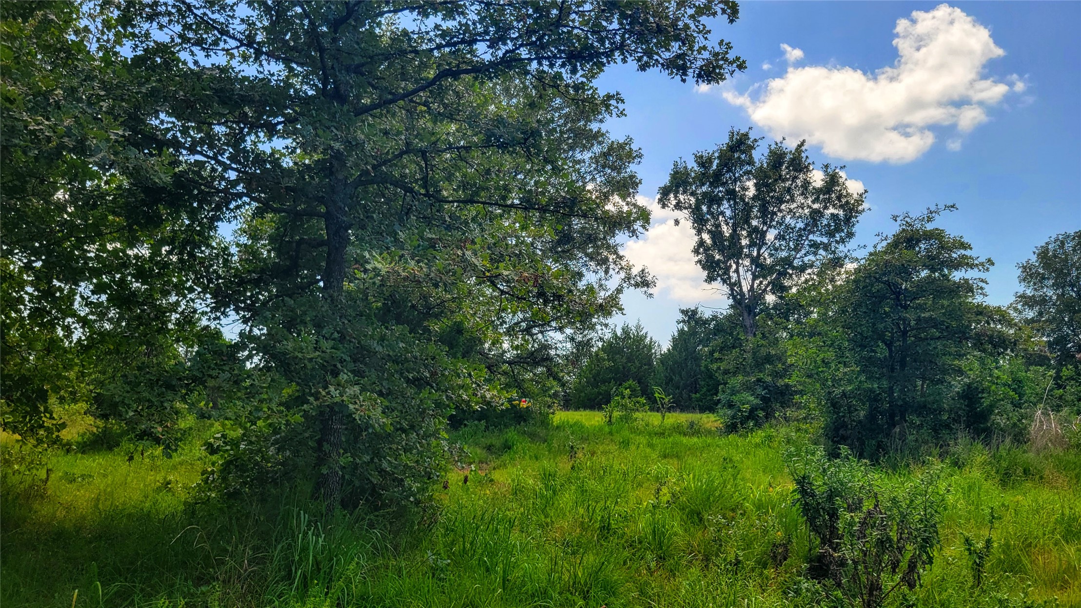 County Road 1475 Francis OK 74844