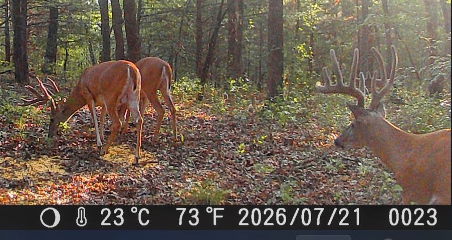 County Road 1475 Francis OK 74844
