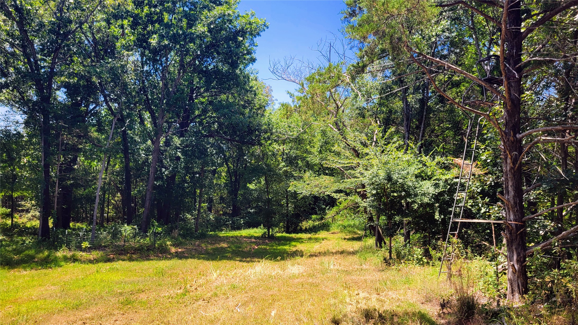 County Road 1475 Francis OK 74844