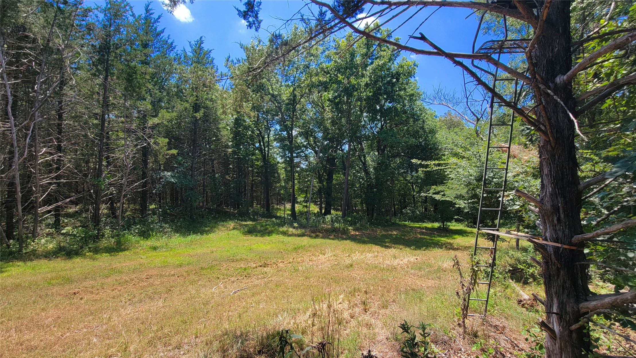 County Road 1475 Francis OK 74844