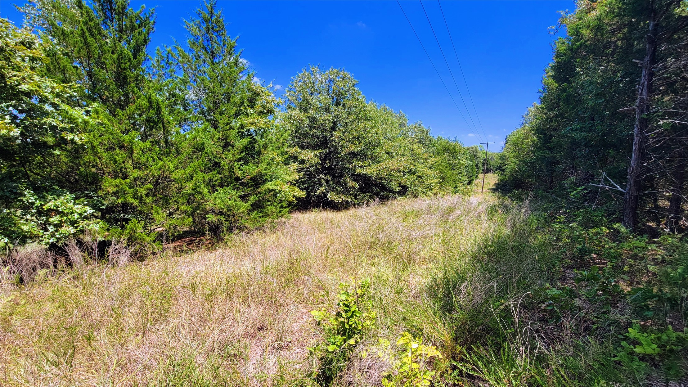 County Road 1475 Francis OK 74844