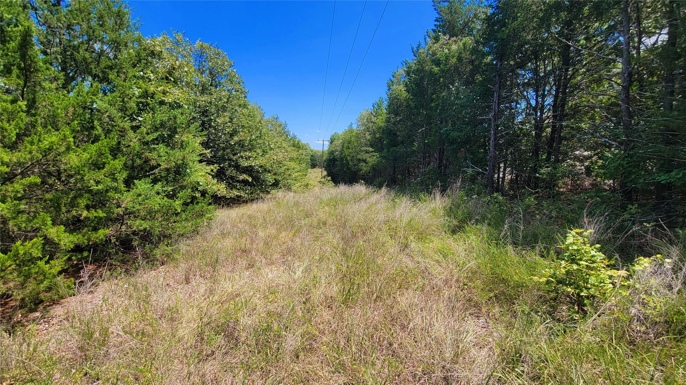 County Road 1475 Francis OK 74844