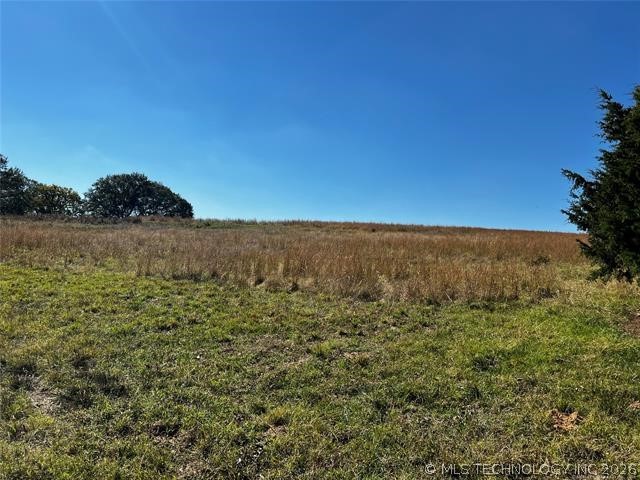 11247 S Buckholt Caddo OK 74729