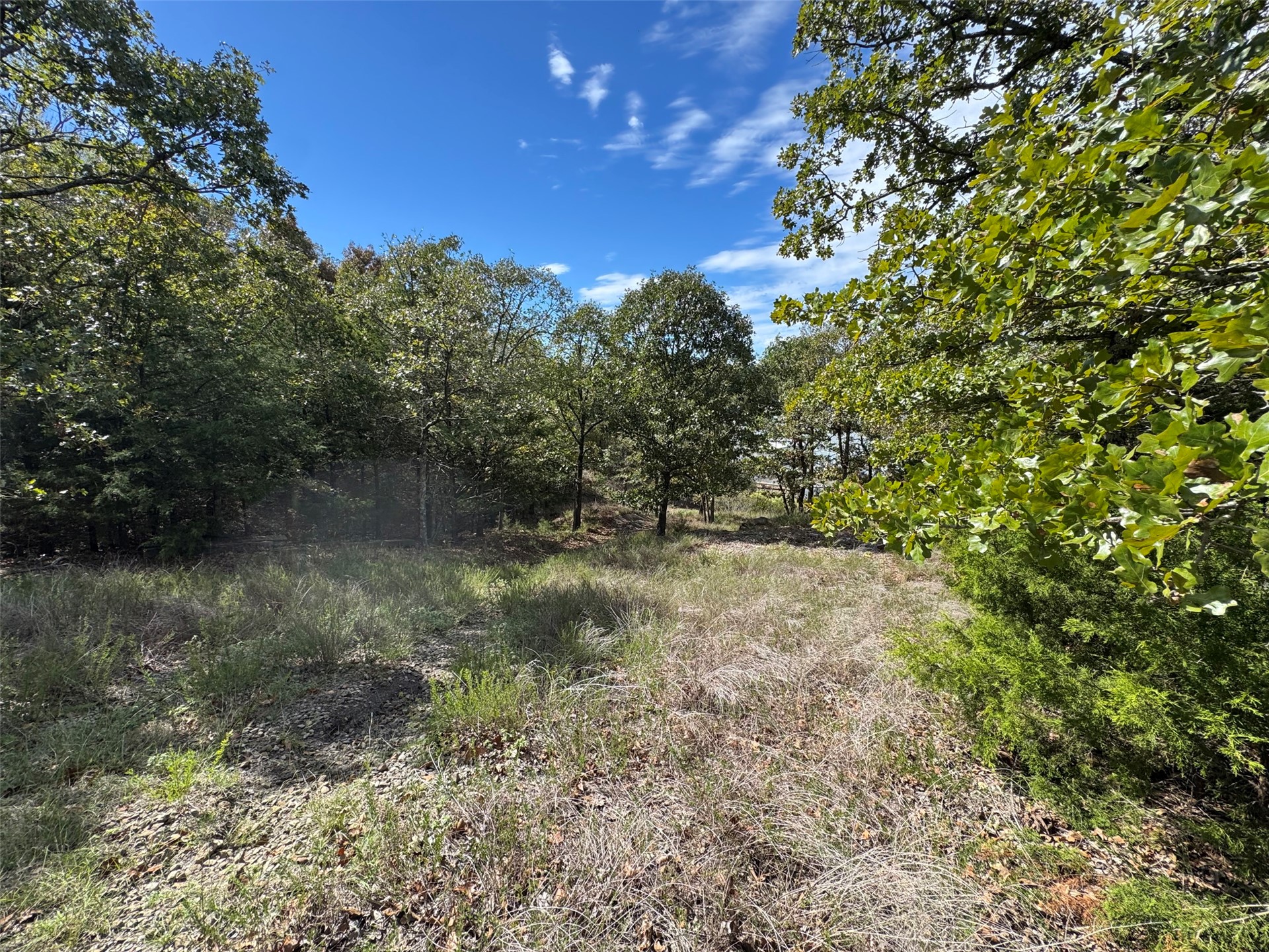 0 Locust Drive Canadian OK 74425