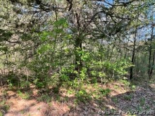 1173 Eagle Loop Drive Eufaula OK 74432