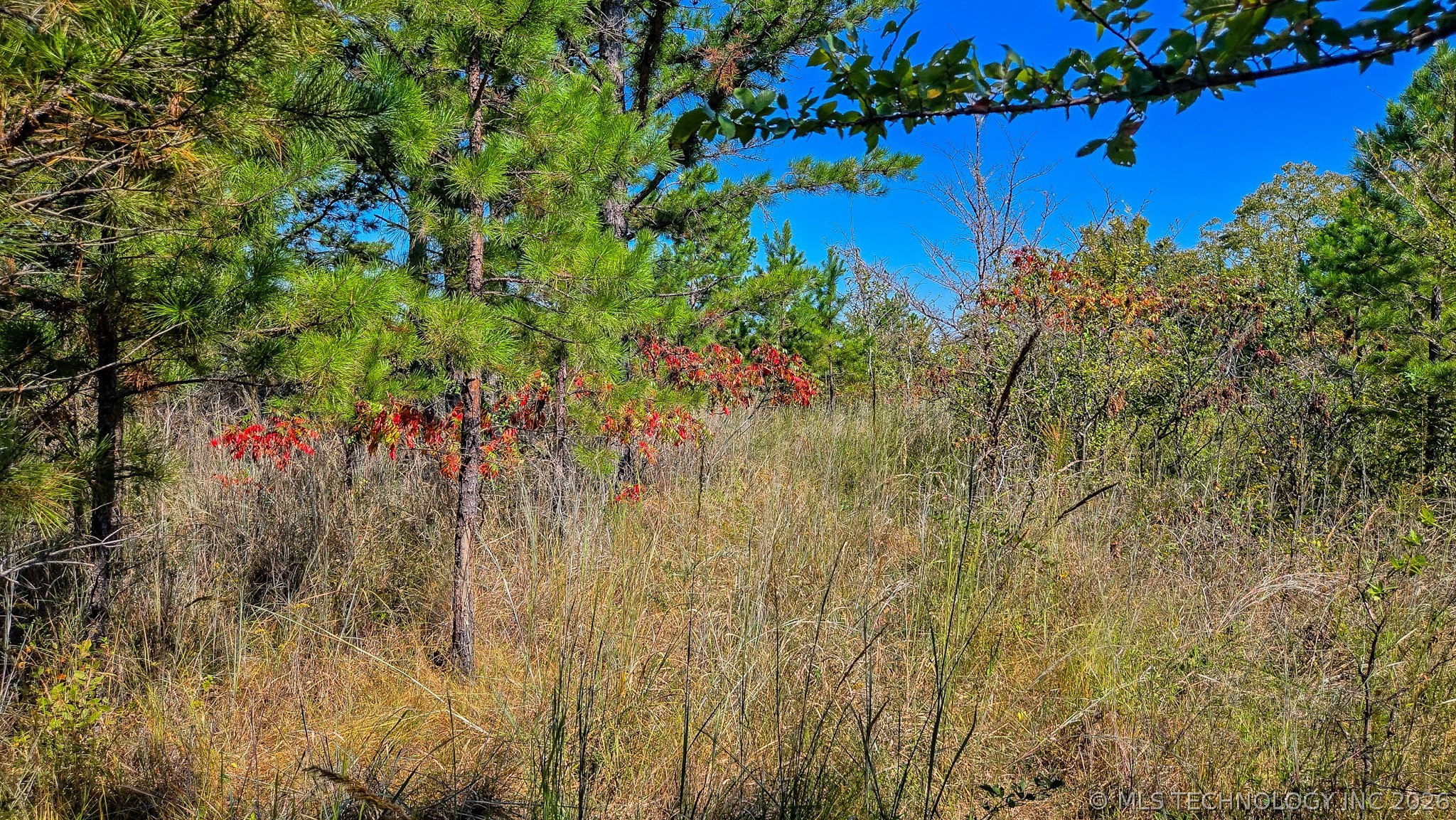 S 4270 Road Checotah OK 74426