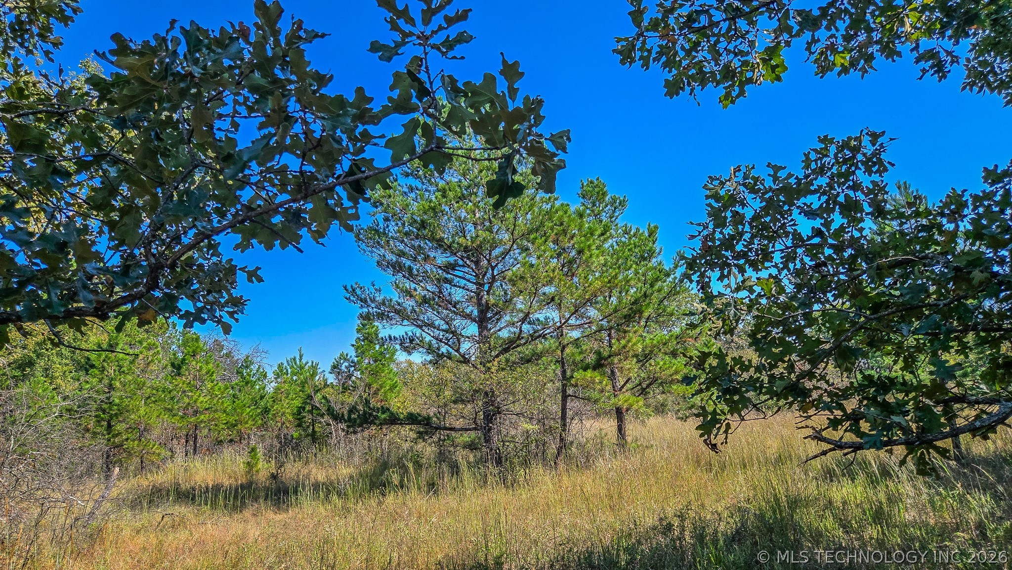 S 4270 Road Checotah OK 74426
