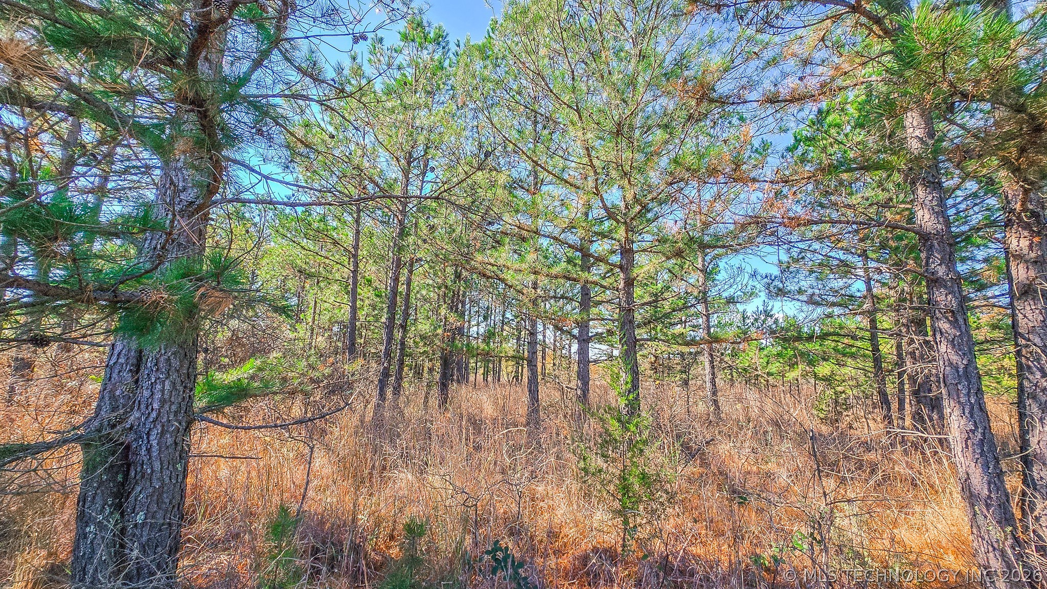 S 4270 Road Checotah OK 74426