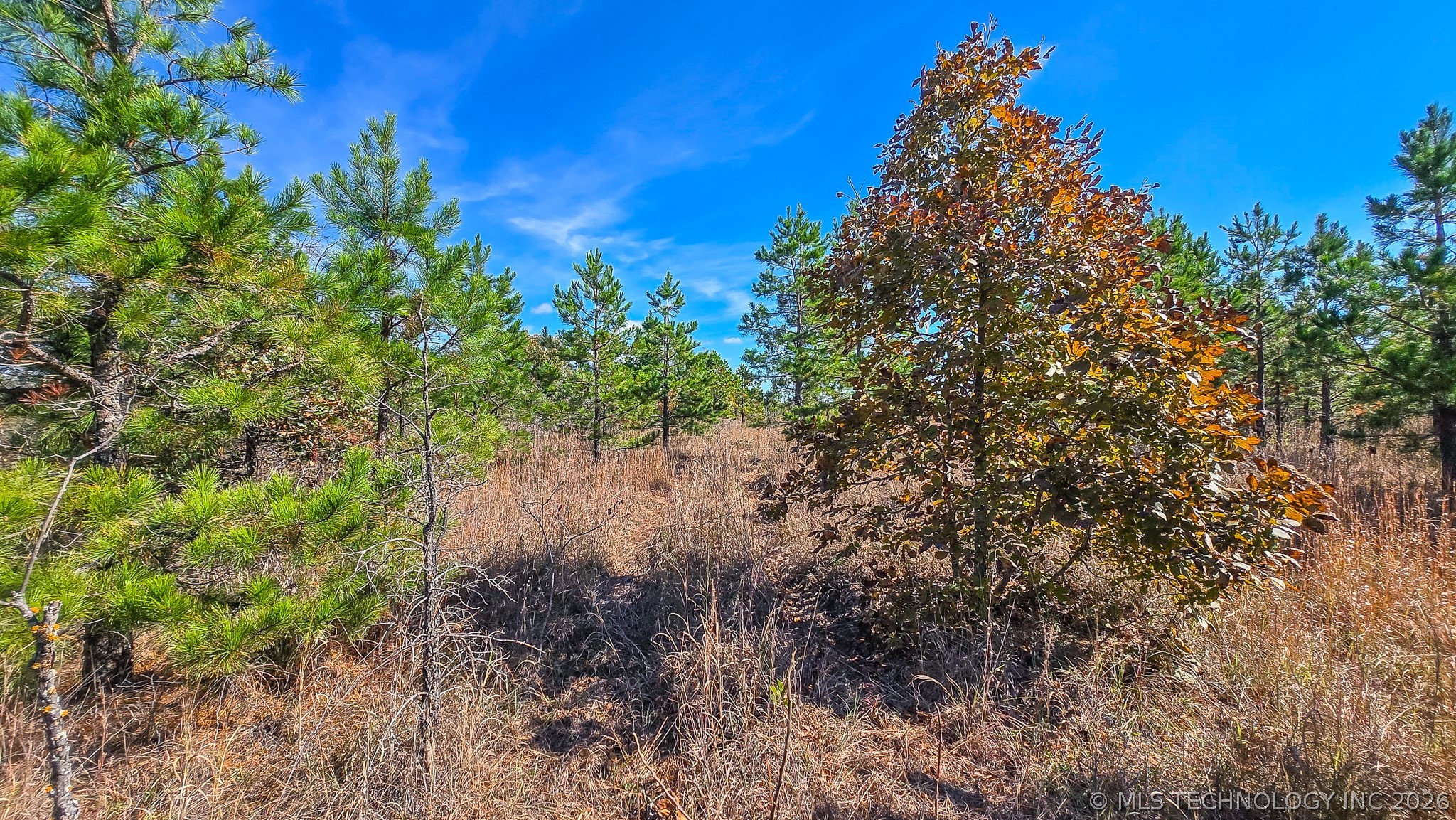 S 4270 Road Checotah OK 74426