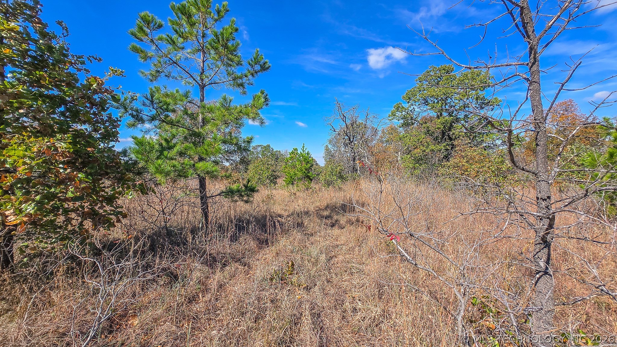 S 4270 Road Checotah OK 74426