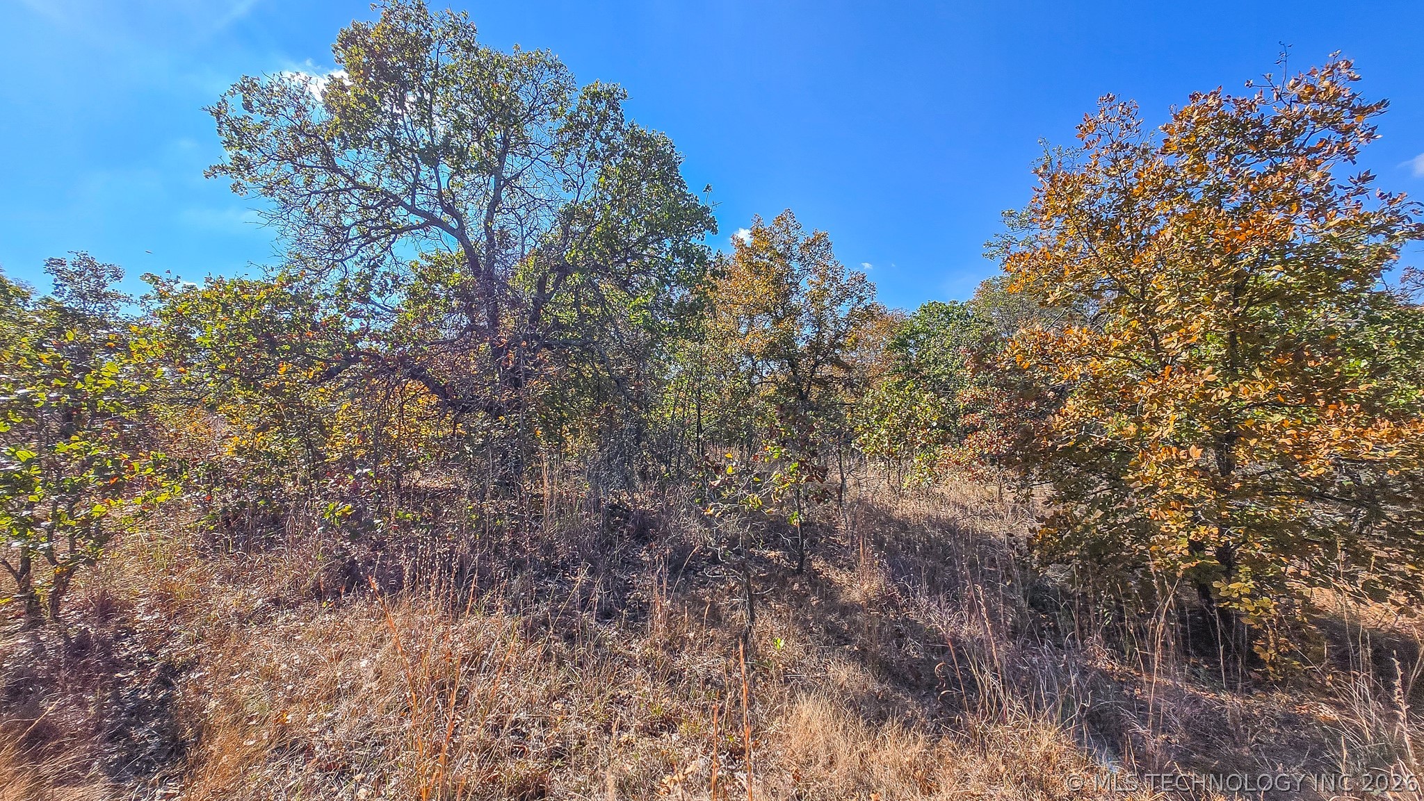 S 4270 Road Checotah OK 74426