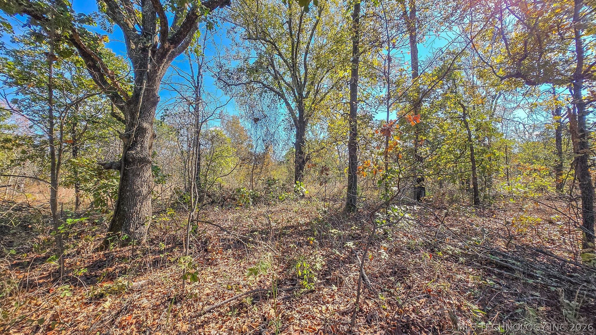 S 4270 Road Checotah OK 74426