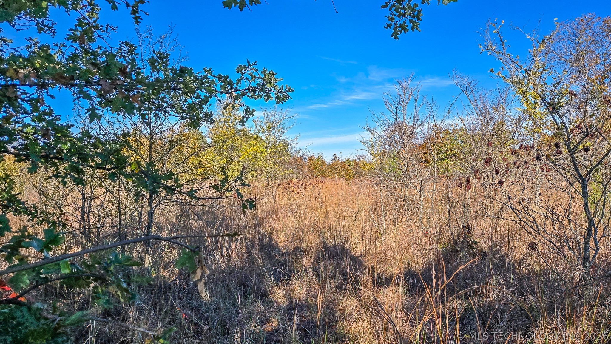 S 4270 Road Checotah OK 74426
