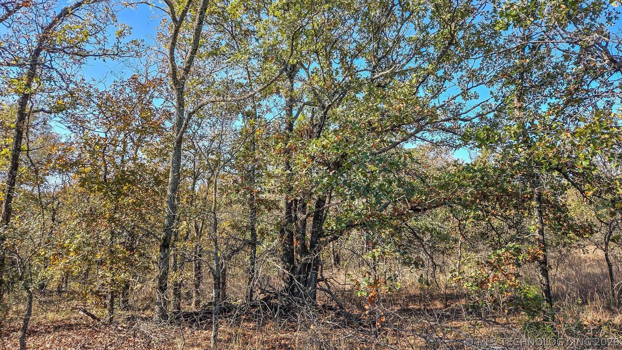 S 4270 Road Checotah OK 74426