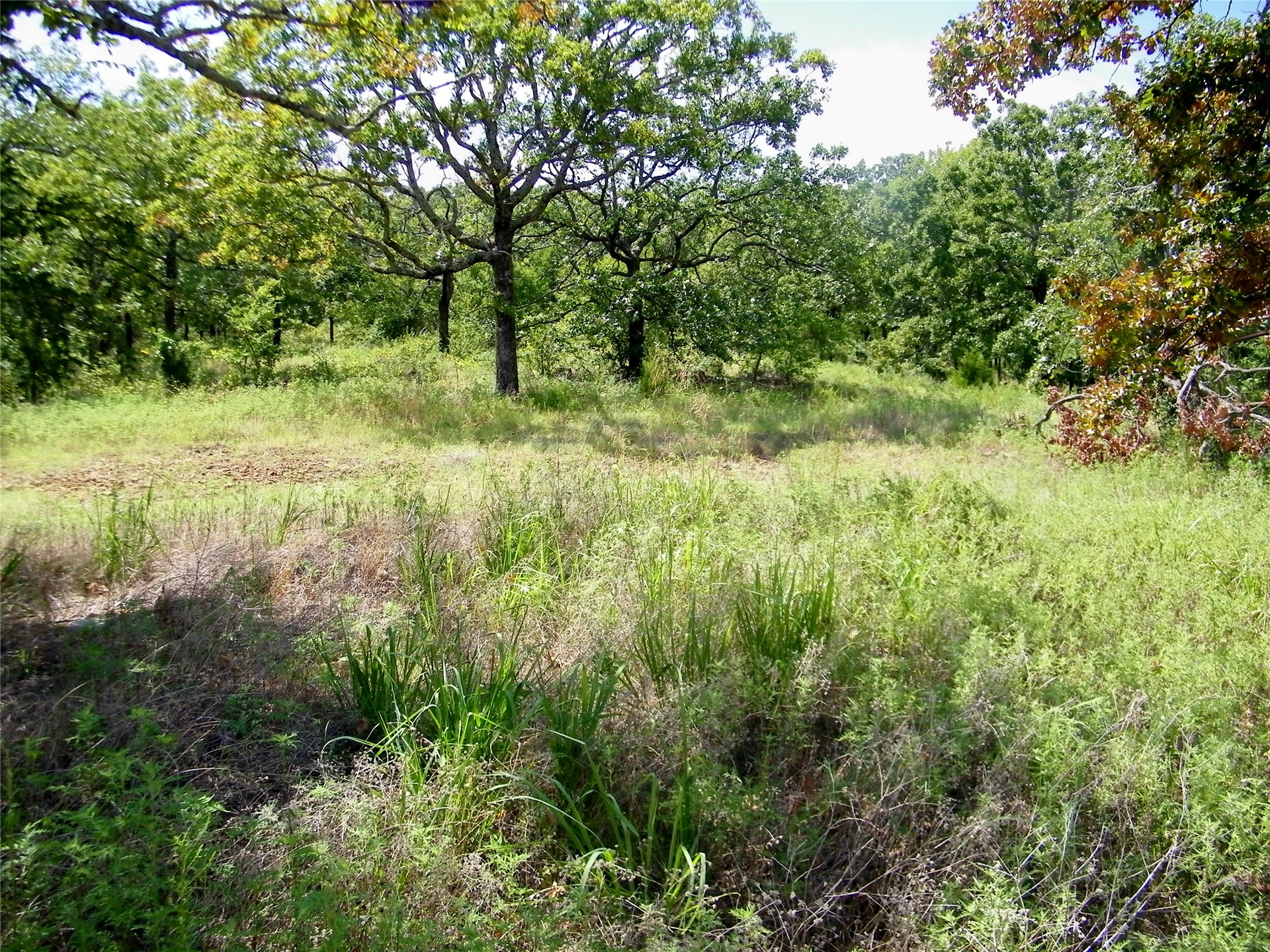 S 230th Road Henryetta OK 74437