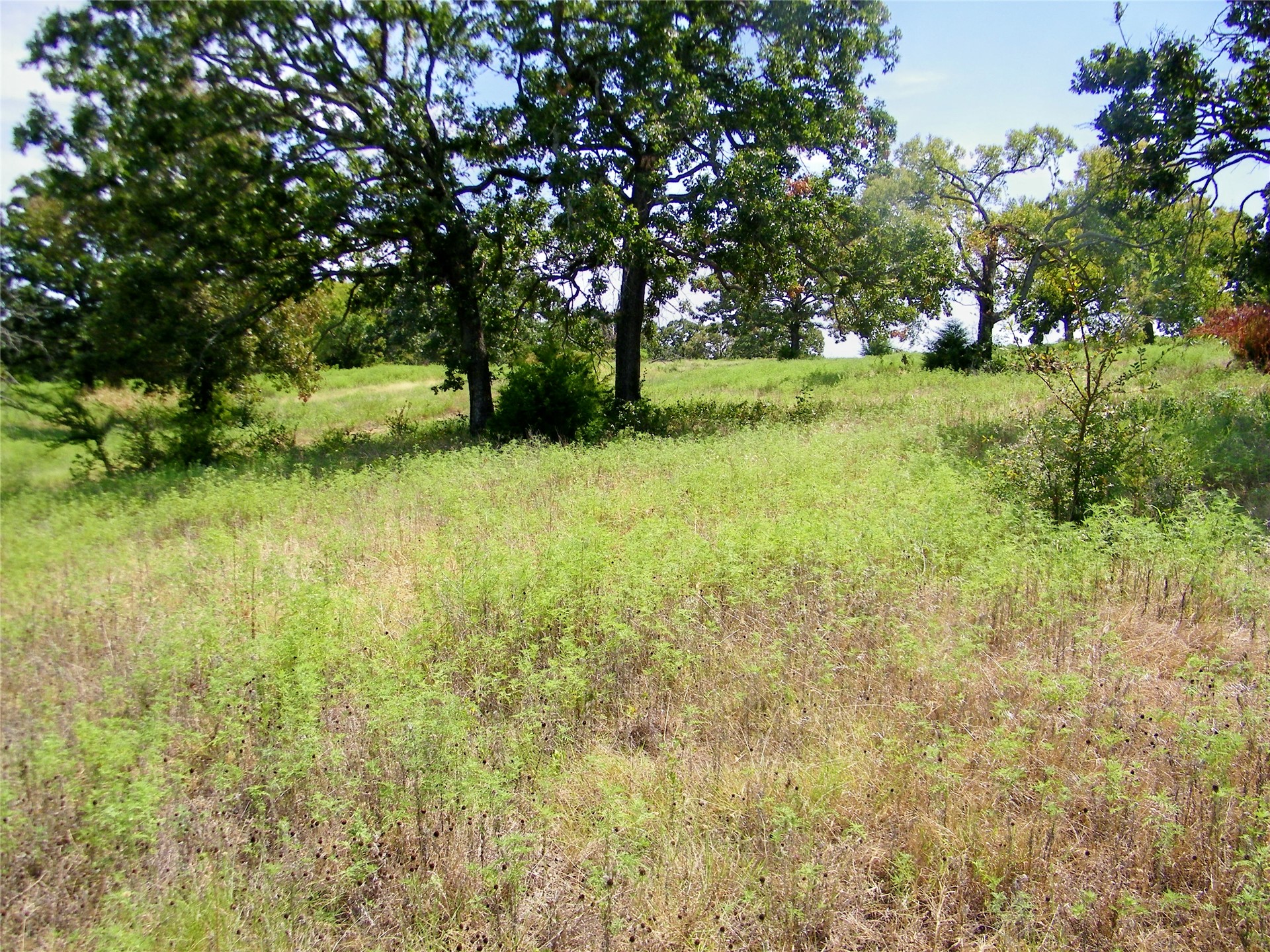 S 230th Road Henryetta OK 74437
