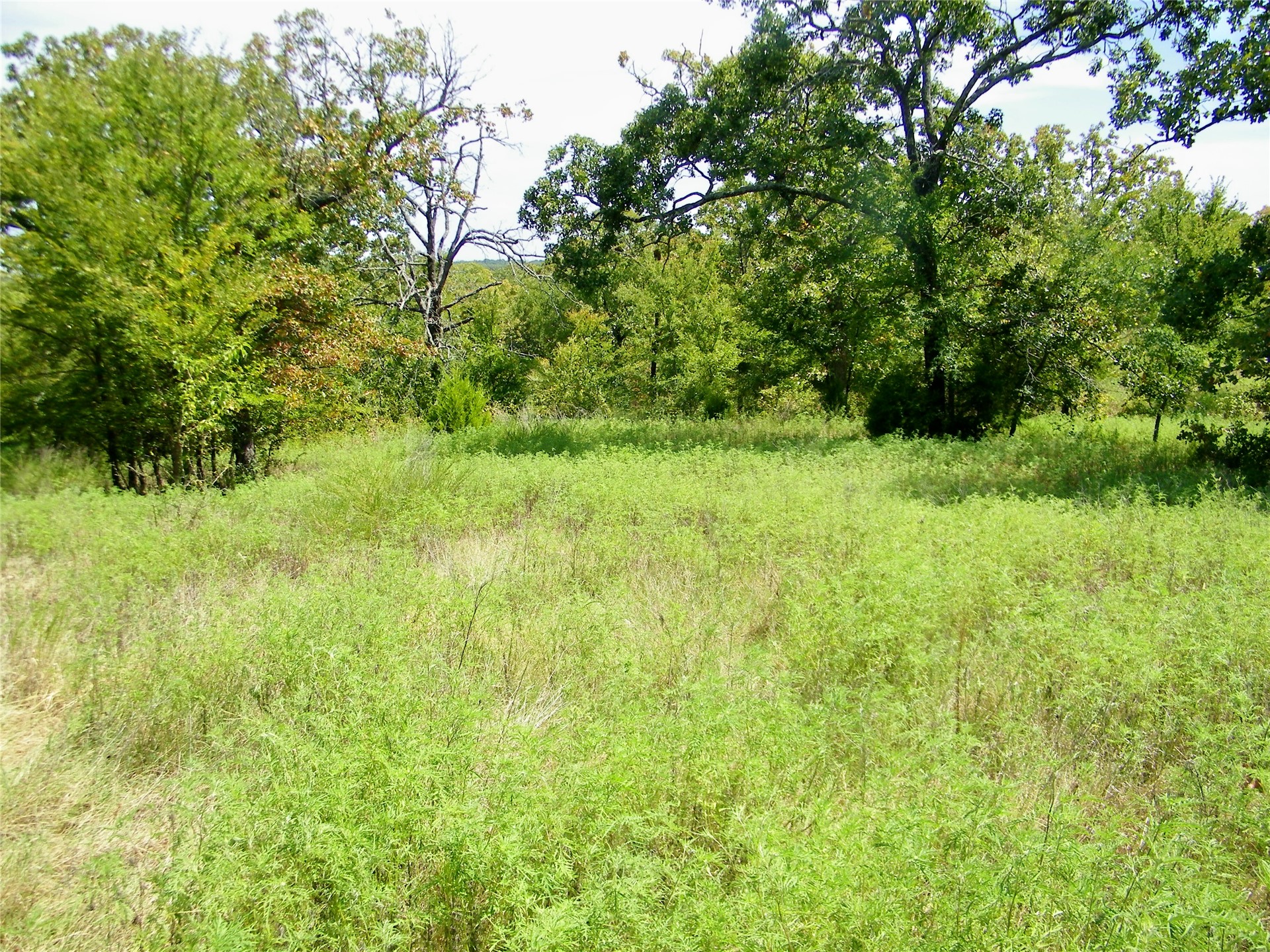 S 230th Road Henryetta OK 74437
