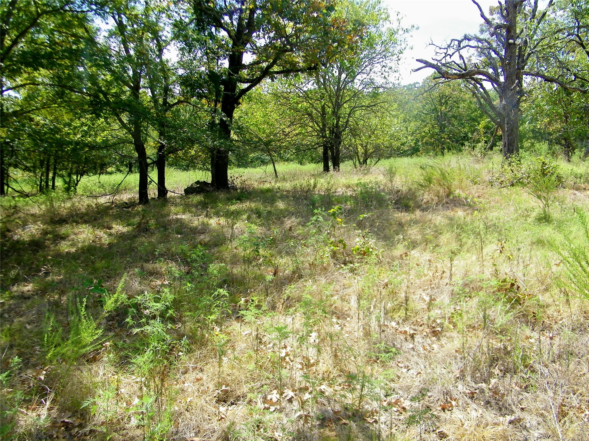 S 230th Road Henryetta OK 74437