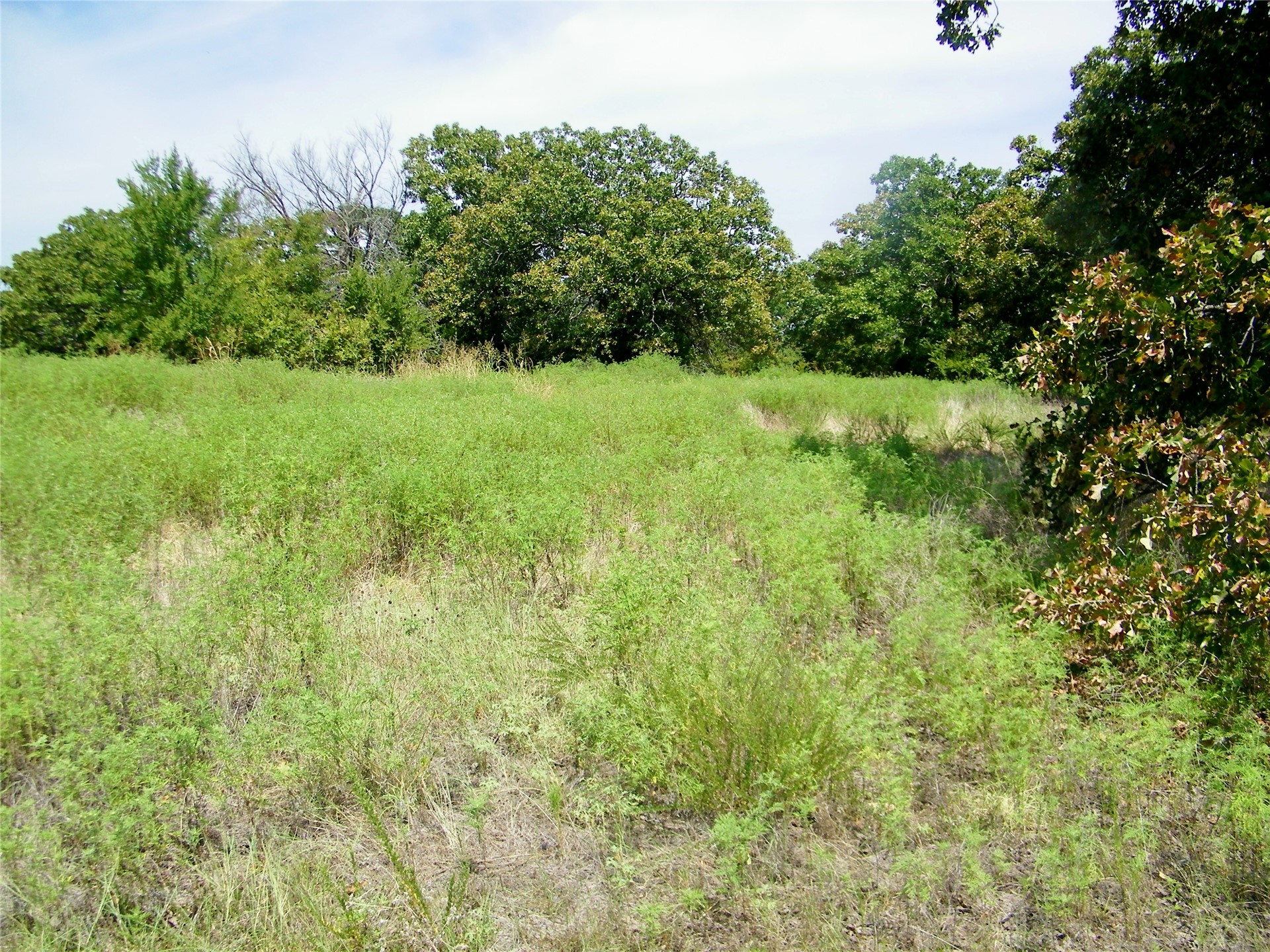 S 230th Road Henryetta OK 74437
