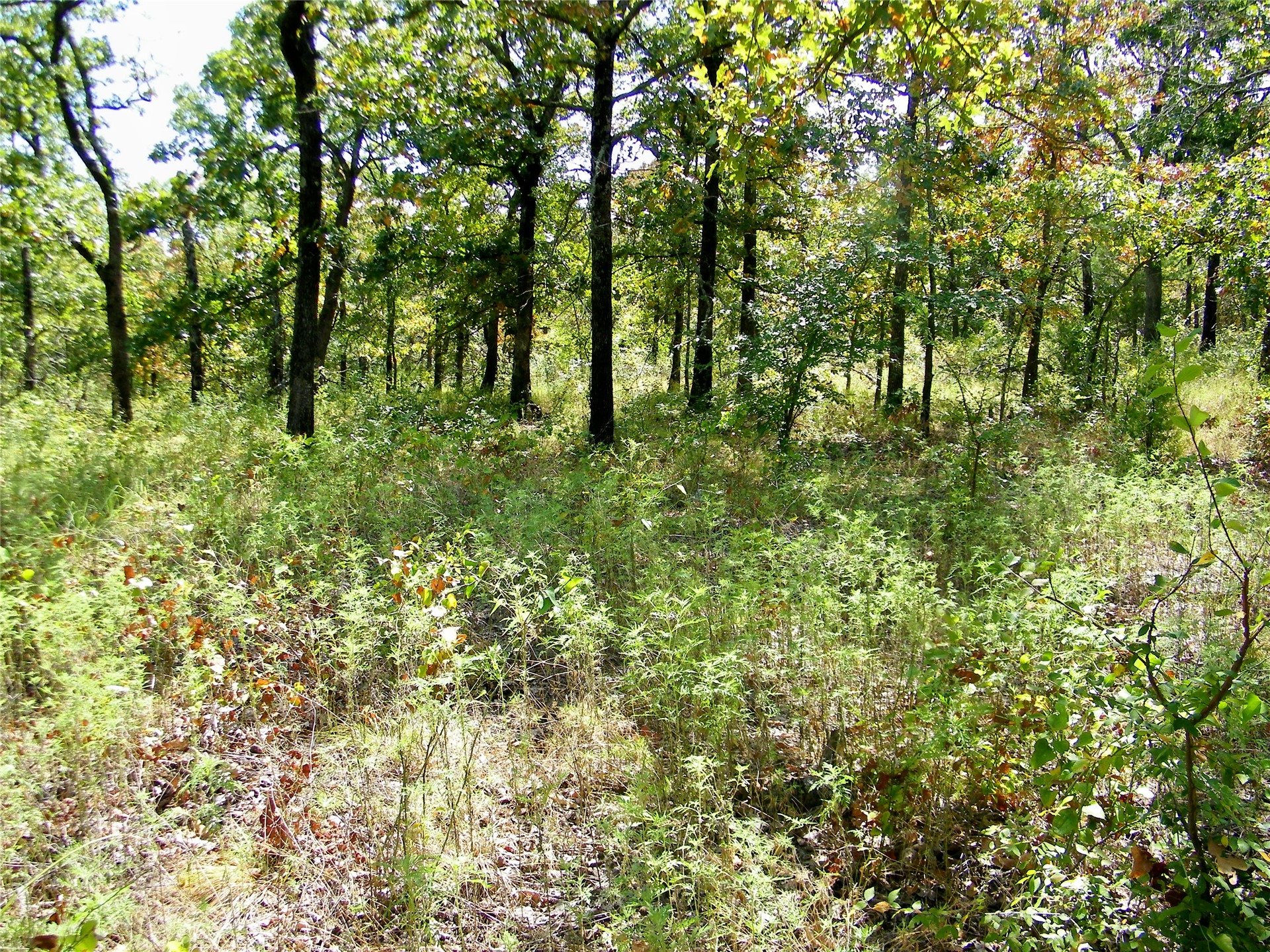 S 230th Road Henryetta OK 74437
