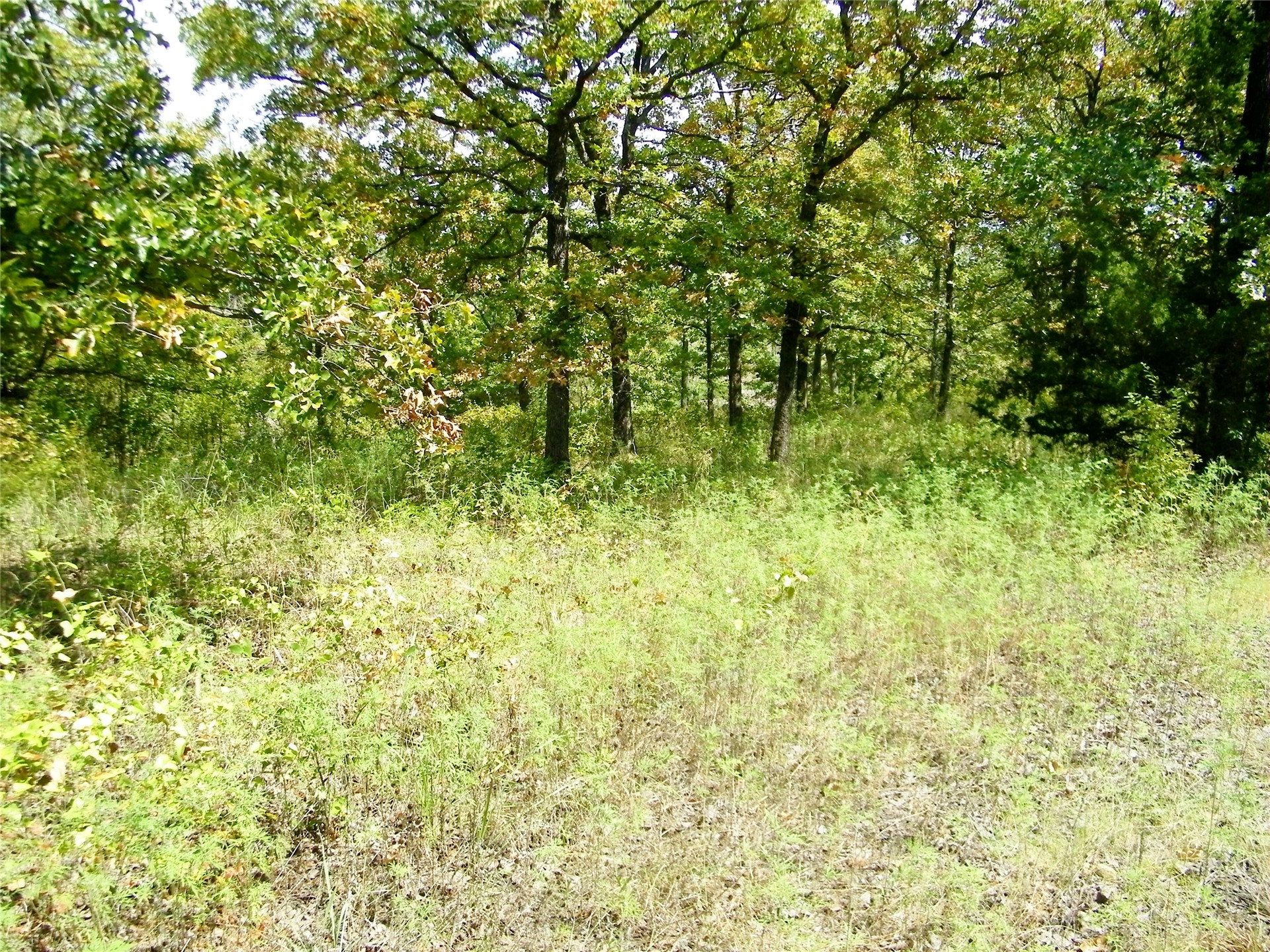 S 230th Road Henryetta OK 74437
