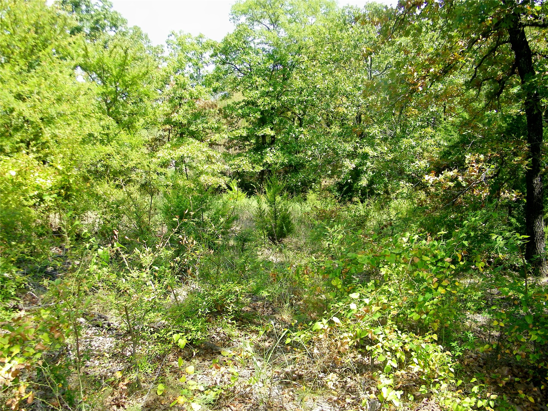 S 230th Road Henryetta OK 74437