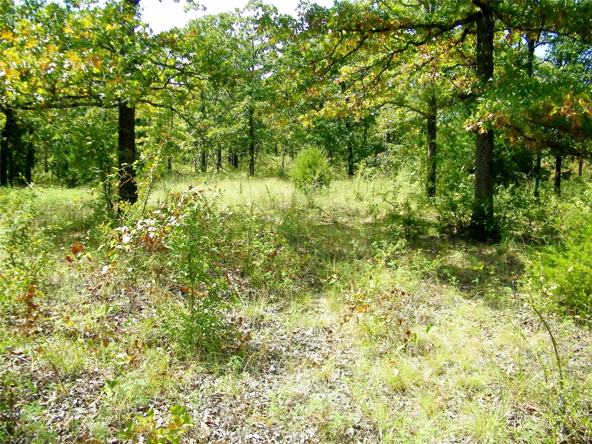 S 230th Road Henryetta OK 74437
